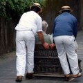 transport voiture panier